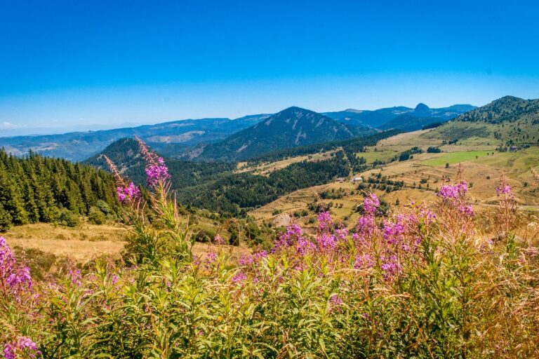 Auvergne